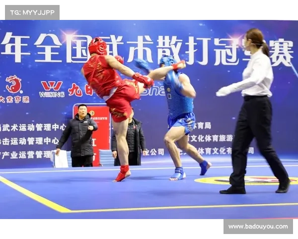 2016散打体育赛事-2019散打