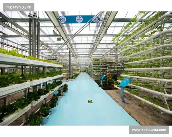 山西红灯笼农业科技有限公司