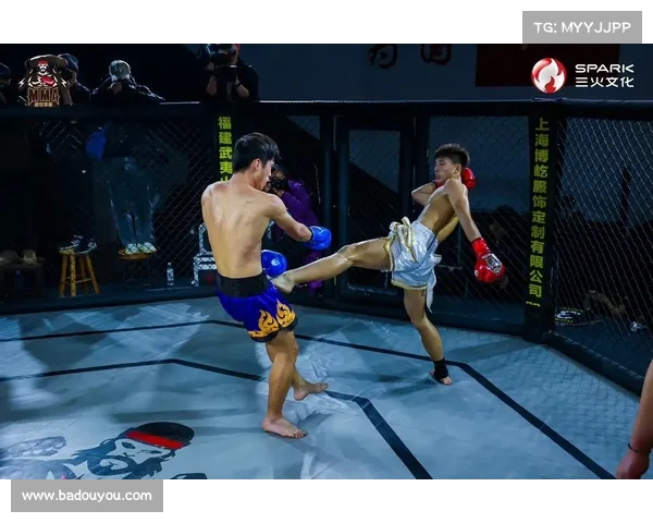 格斗比赛含金量